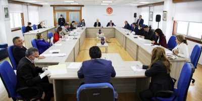 Cumhurbaşkanlığı seçiminin ertelenmesi komiteden geçti