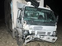 Mucize eseri sağ kurtuldular!