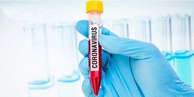 Güneyde yeni vaka yok