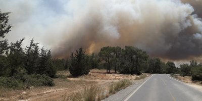 Tepebaşı'nda orman yangını!