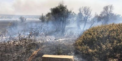 Gönendere'de yangın!