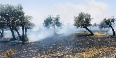 Birçok bölgede yangın meydana geldi!