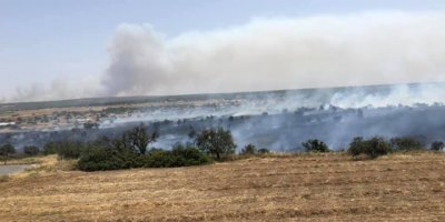 Bir yangın haberi de Sadrazamköy’den