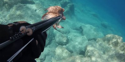 Kanunsuz balık avlayan 5 kişi tutuklandı!