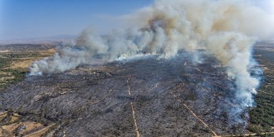 KKTC’deki yangın rum basınında