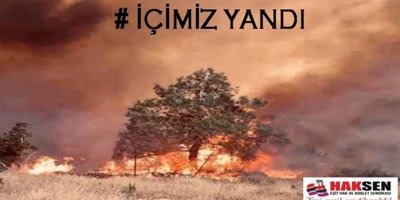 “Ders almadığımız ve önlem almadığımız sürece ormanlarımızı yok edeceğiz”
