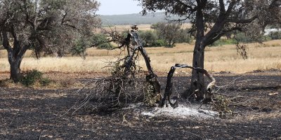 Yangınların önü kesilemiyor