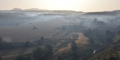 Tepebaşı-Kalkanlı yangınında 7 bin 500 dönüm yandı