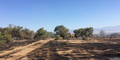 Tepebaşı'nda yangın!