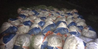 Van'da 15,5 ton kaçak avlanan inci kefali ele geçirildi