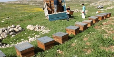 Arıcılar yaylaların yolunu tuttu