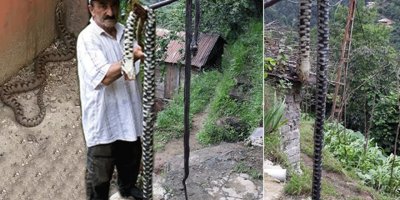 Karadeniz'de yılan korkusu: Zehri emerek değil, plastik enjektörle çekin