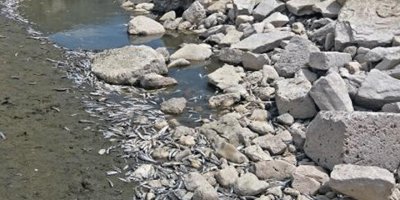 Gölbaşı'ndaki balık ölümleriyle ilgili inceleme
