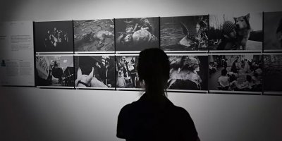 2020 Andrey Stenin Fotoğraf Yarışması ödülleri sahiplerini buldu