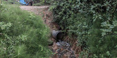 Atık sular Aydos Gölü'nü tehdit ediyor