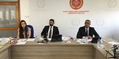 Ekonomi, maliye, bütçe ve plan komitesi toplandı