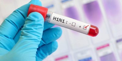 Bulgaristan'da H5N8 salgını patlak verdi