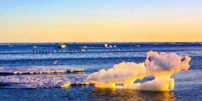 Kuzey kutbu'nda ölçülen 38 derece sıcaklık tarihe geçti