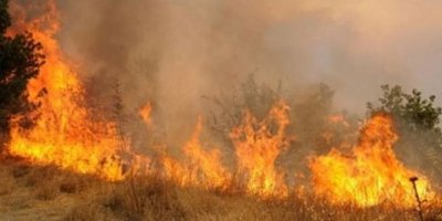 Yeniboğaziçi’nde dünyangın meydana geldi