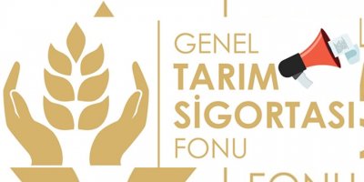 Patates ürünü zarar gören üreticilere 37 bin tl tazminat ödendi