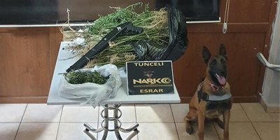 Tunceli'de uyuşturucu operasyonu: 6 gözaltı