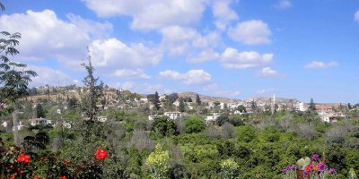 Lefke'deki bazı örgütlerden tepki