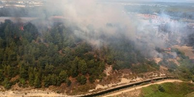 Antalya'da orman yangını