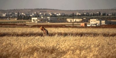 Suriye'de korkunç iddia: Mayın tarlasına sürüldüler, 8 kişi öldü