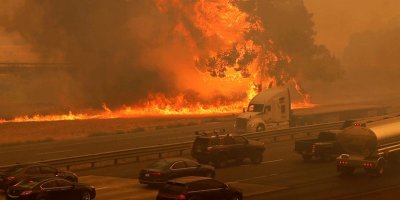 California'da 8 bin kilometrekare alan yandı, rekor kırıldı