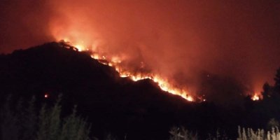 Hatay'daki orman yangını 5'inci gününde kontrol altında