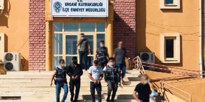 Ergani'de hırsızlık şüphelisi 2 kişi tutuklandı