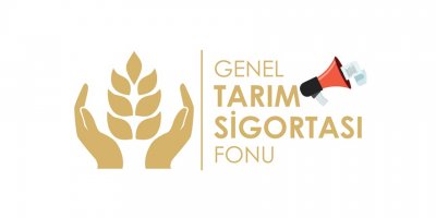 Sonbahar patates ekimi için beyanların 15 Ekim’e kadar yapılması gerekiyor