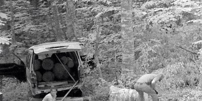 Bursa'da skandal! Fotokapanla tespit edilip suçüstü yakalandı...