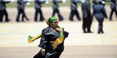 Hava kuvvetlerine ait uçağı kullanan Güney Afrika Savunma Bakanı'na maaş kesme cezası