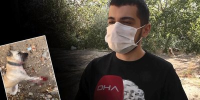 Tüyler ürperten olay: Gözümün önünde kesti