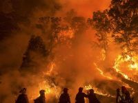 ABD'nin California eyaletindeki orman yangında, biri ağır 2 kişi yaralandı, yaklaşık 150 bin kişi tahliye edildi
