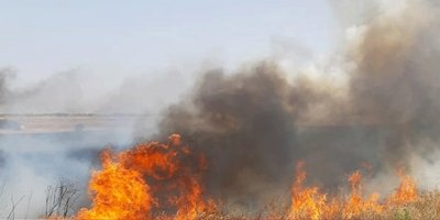 Serdarlı'da yangın