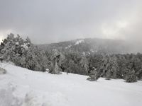 Trodos’a kar yağdı
