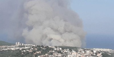 Hatay'da orman yangını paniği... Yerleşim yerlerine yaklaştı