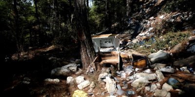 Bursa'da yeni çevre katliamı