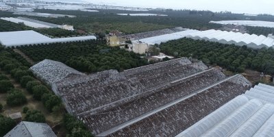 Antalya'yı dolu vurdu, seralar büyük zarar gördü