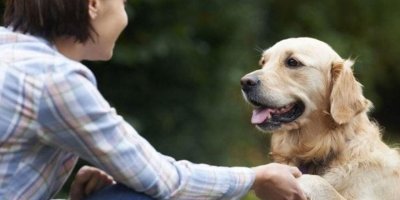 DNA araştırması, köpeklerin insanoğlunun en eski hayvan dostu olduğunu gösterdi
