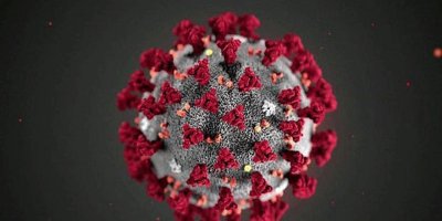 Corona virüsü mutasyona uğradı: Artık çok daha bulaşıcı