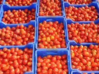 Zor günler kapıda!