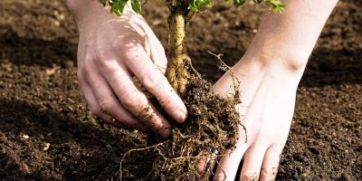 Yetim Çocuklar Hatay’a Nefes Oldu