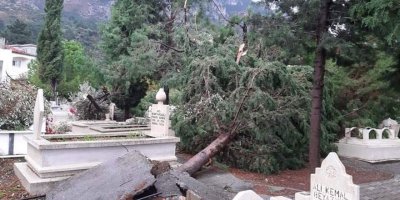 Lapta Kabristanlığında yıkıldı, ağaçlar devrildi