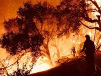 Kaliforniya'daki yangın bir haftadır söndürülemedi