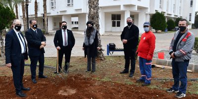 DAÜ’den yeni yılda doğaya üç bin fidan