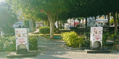 Girne Belediyesi hayvan hakları ile ilgili çalışmalarına devam ediyor