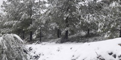 Karla karışık yağmur bekleniyor